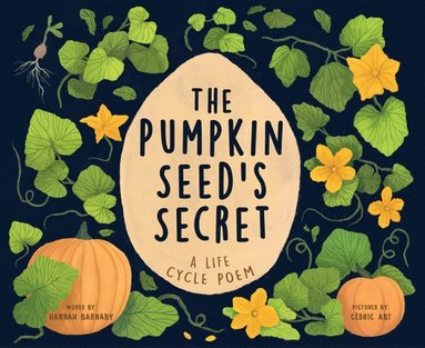 bokomslag Pumpkin Seed's Secret
