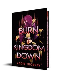 bokomslag Burn the Kingdom Down