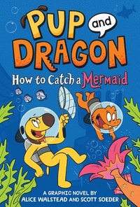 bokomslag How to Catch Graphic Novels: How to Catch a Mermaid