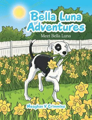 bokomslag Bella Luna Adventures