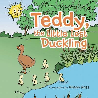 Allison Ross - Teddy, the Little Lost Duckling, Häftad