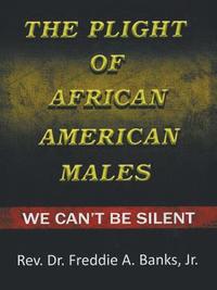 bokomslag The Plight of African-American Males