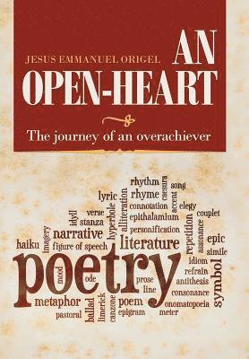 bokomslag Open-Heart