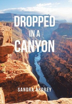 Sandra Ardrey - Dropped in a Canyon, Inbunden