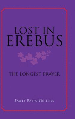 bokomslag Lost in Erebus