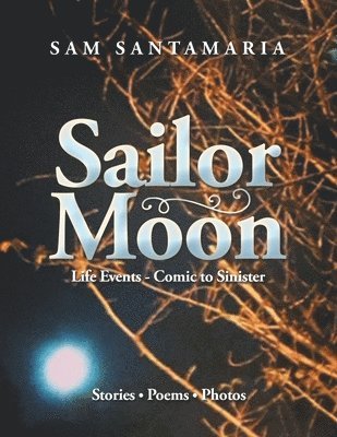 Sailor Moon 1