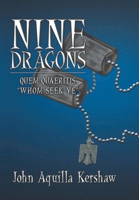 bokomslag Nine Dragons