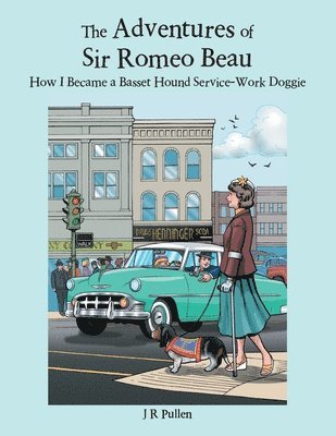 bokomslag Adventures of Sir Romeo Beau