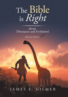 bokomslag Bible Is Right