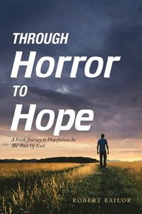 bokomslag Through Horror to Hope