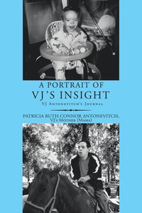 bokomslag A Portrait of Vj's Insight