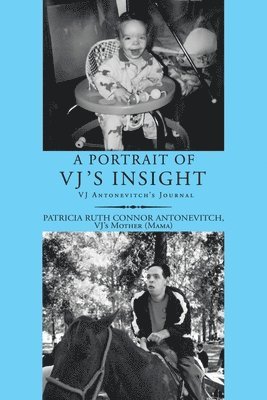A Portrait of Vj's Insight 1