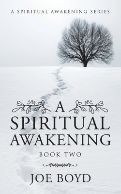 bokomslag Spiritual Awakening