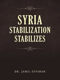 bokomslag Syria Stabilization Stabilizes