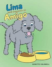bokomslag Lima Está Buscando Un Amigo