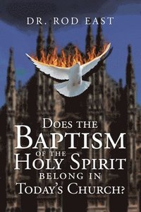 bokomslag Does The Baptism Of The Holy Spirit Belong In Today's Church?