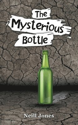 Mysterious Bottle 1