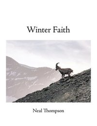 bokomslag Winter Faith