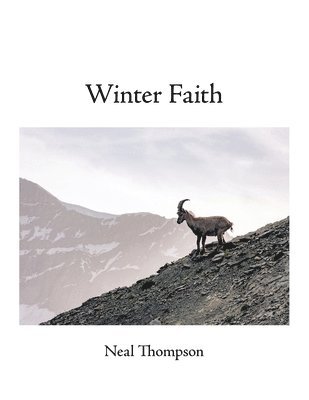 Winter Faith 1