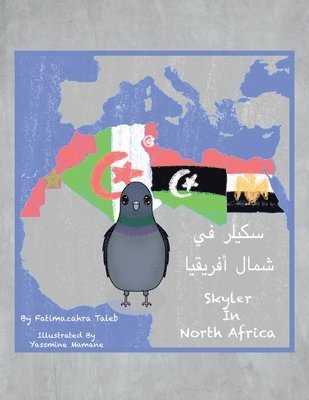 bokomslag Skyler in North Africa