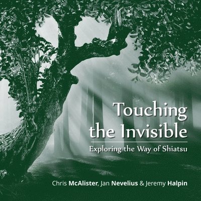 Touching the Invisible 1