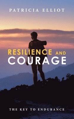 bokomslag Resilience and Courage