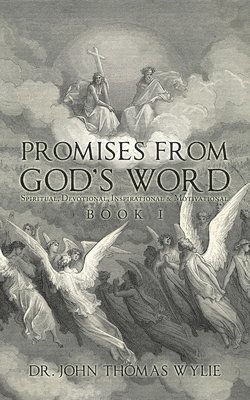 bokomslag Promises from God's Word