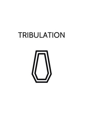 bokomslag Tribulation