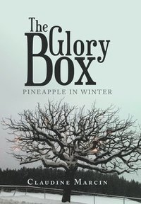 bokomslag The Glory Box