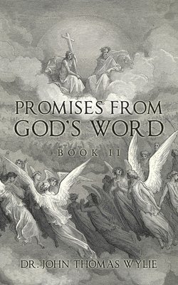 bokomslag Promises from God's Word