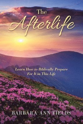 bokomslag Afterlife