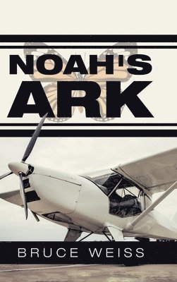 Noah's Ark 1