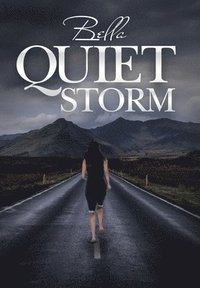 bokomslag Quiet Storm