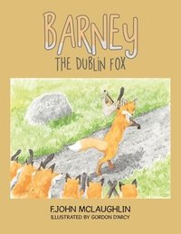 bokomslag Barney the Dublin Fox