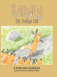 bokomslag Barney the Dublin Fox