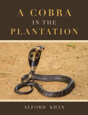 A Cobra in the Plantation 1