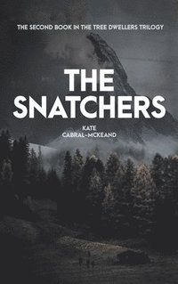 bokomslag The Snatchers