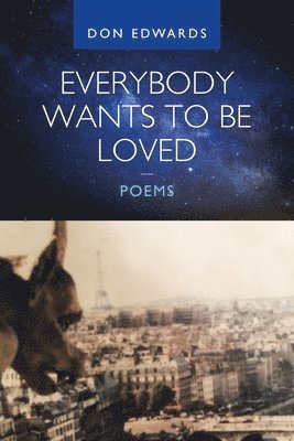 bokomslag Everybody Wants to Be Loved - Poems