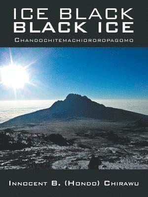 bokomslag Ice Black Black Ice