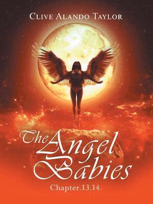 bokomslag The Angel Babies