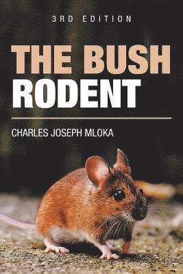 The Bush Rodent 1