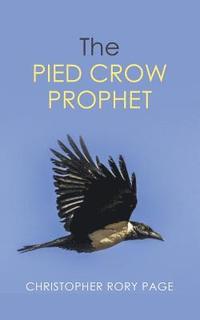 bokomslag Pied Crow Prophet