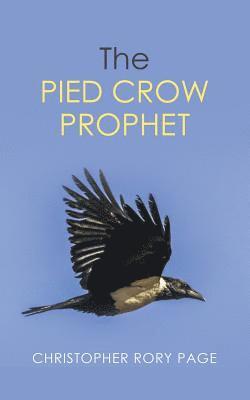 bokomslag Pied Crow Prophet
