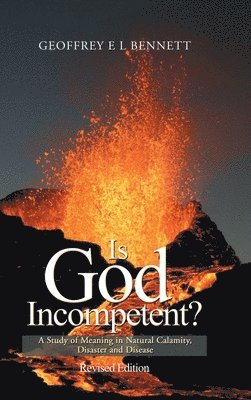 bokomslag Is God Incompetent?