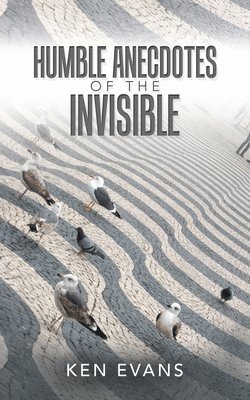 bokomslag Humble Anecdotes of the Invisible