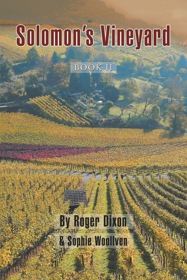 Solomon's Vineyard 1