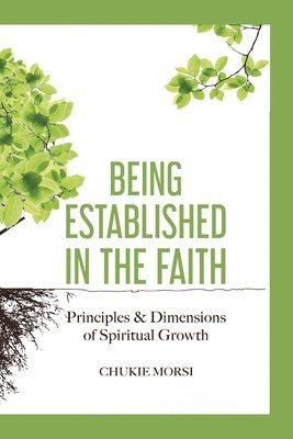 bokomslag Being Established in the Faith