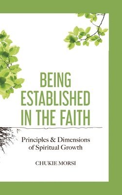 bokomslag Being Established in the Faith
