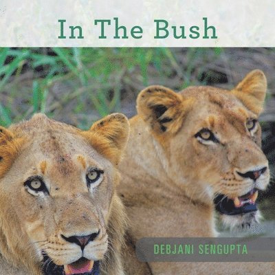 Debjani SenGupta - In the Bush, Häftad