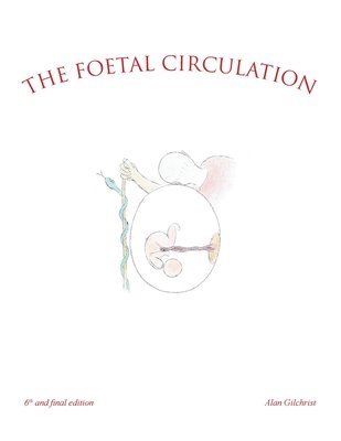 bokomslag The Foetal Circulation